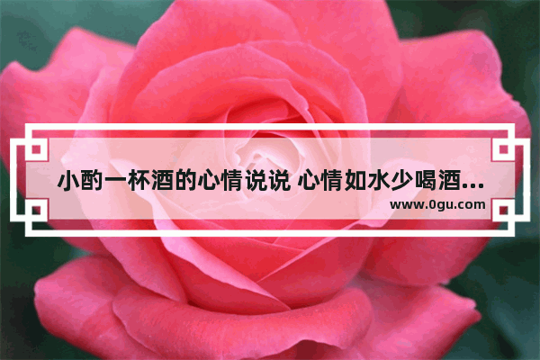 小酌一杯酒的心情说说 心情如水少喝酒的句子