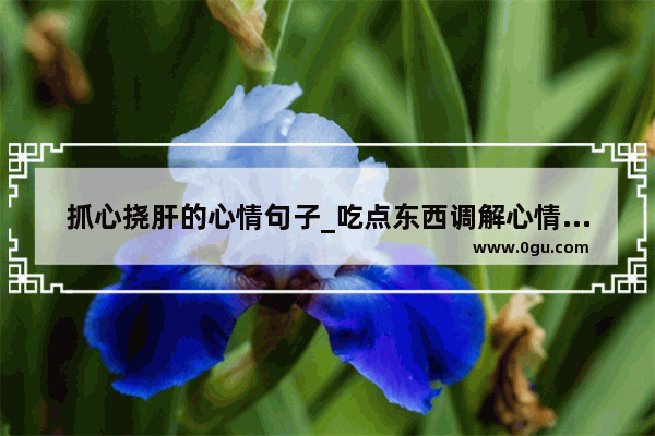 抓心挠肝的心情句子_吃点东西调解心情的句子
