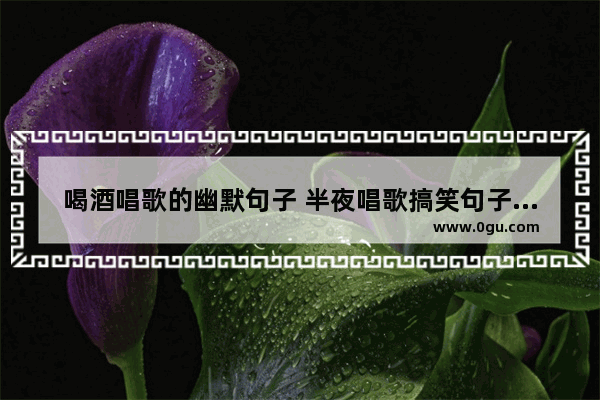 喝酒唱歌的幽默句子 半夜唱歌搞笑句子说说