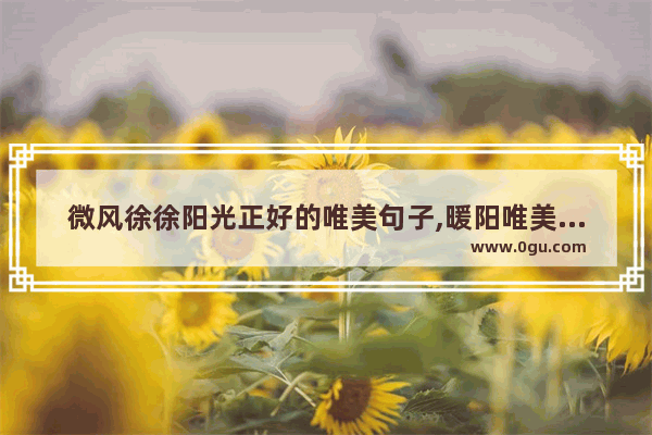 微风徐徐阳光正好的唯美句子,暖阳唯美的句子