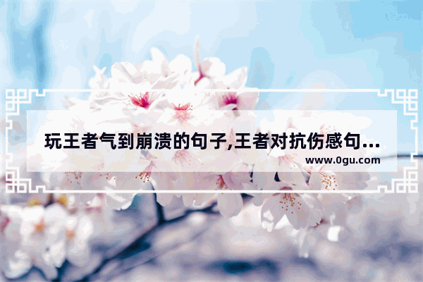 玩王者气到崩溃的句子,王者对抗伤感句子搞笑