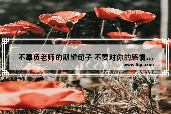 不辜负老师的期望句子 不要对你的感情失望的句子