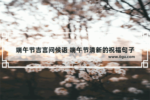 端午节吉言问候语 端午节清新的祝福句子