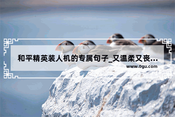 和平精英装人机的专属句子_又温柔又丧的和平精英网名两个字