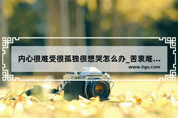 内心很难受很孤独很想哭怎么办_苦衷难言的句子