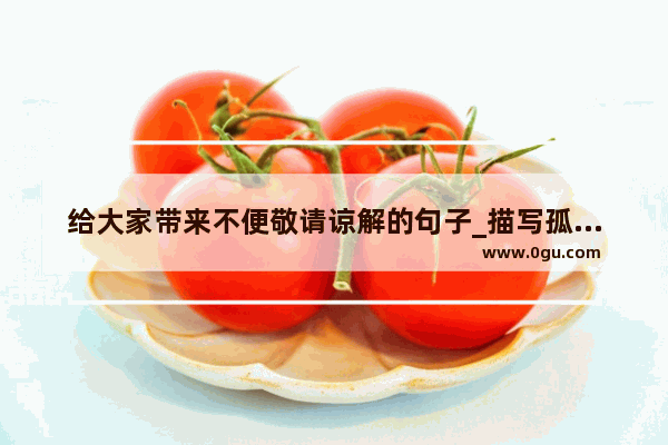 给大家带来不便敬请谅解的句子_描写孤寡老人神态的句子
