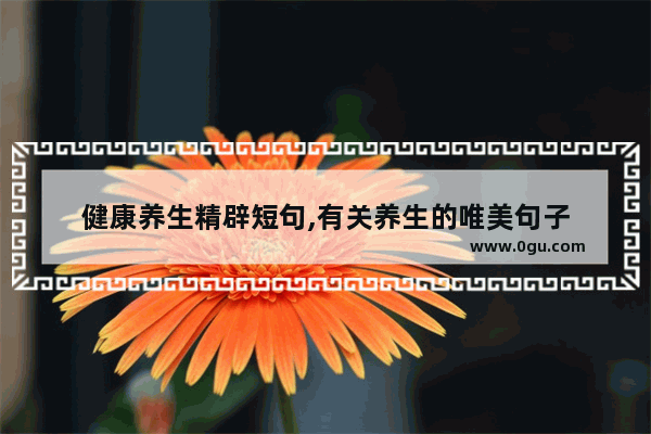 健康养生精辟短句,有关养生的唯美句子
