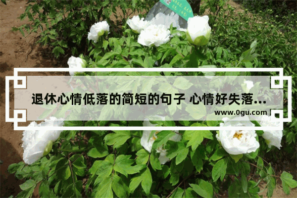 退休心情低落的简短的句子 心情好失落的句子