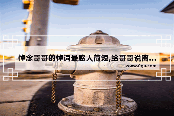 悼念哥哥的悼词最感人简短,给哥哥说离别的句子暖心