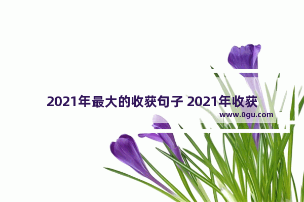 2021年最大的收获句子 2021年收获的伤感句子
