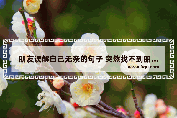 朋友误解自己无奈的句子 突然找不到朋友的伤感句子
