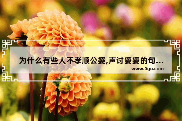 为什么有些人不孝顺公婆,声讨婆婆的句子搞笑