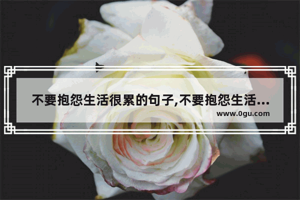 不要抱怨生活很累的句子,不要抱怨生活很累的句子