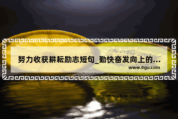 努力收获耕耘励志短句_勤快奋发向上的励志句子