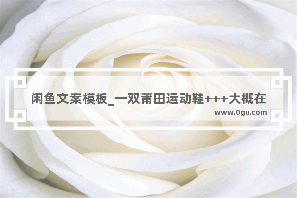 闲鱼文案模板_一双莆田运动鞋+++大概在多少