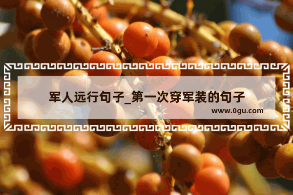 军人远行句子_第一次穿军装的句子