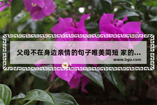 父母不在身边亲情的句子唯美简短 家的唯美的句子