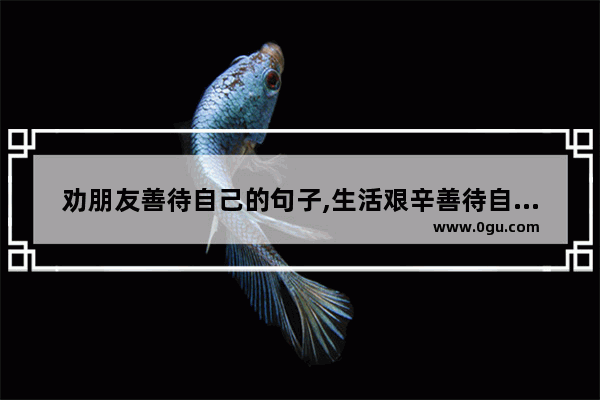 劝朋友善待自己的句子,生活艰辛善待自己的句子
