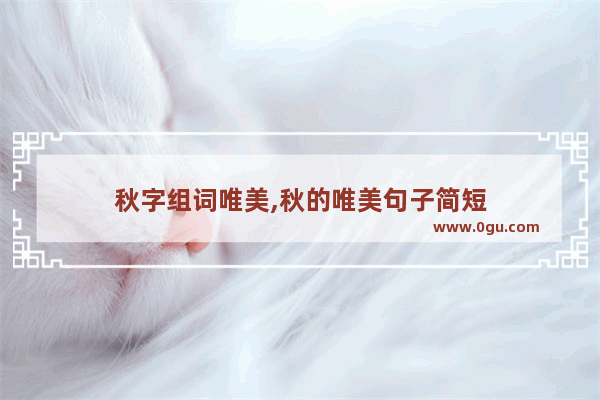 秋字组词唯美,秋的唯美句子简短