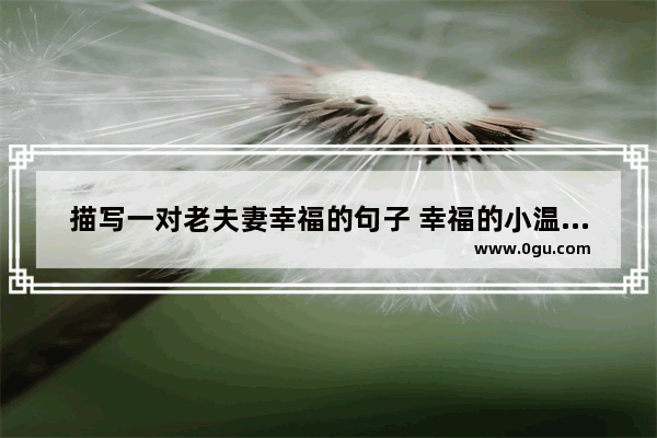 描写一对老夫妻幸福的句子 幸福的小温暖赞美句子说说