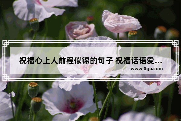 祝福心上人前程似锦的句子 祝福话语爱情的句子