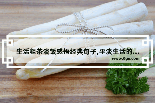 生活粗茶淡饭感悟经典句子,平淡生活的简单幸福句子