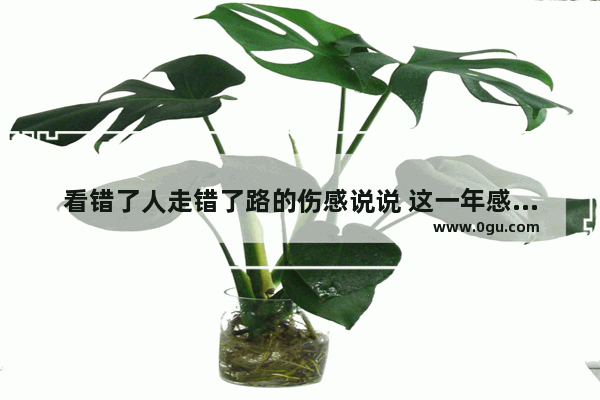 看错了人走错了路的伤感说说 这一年感情失望的句子