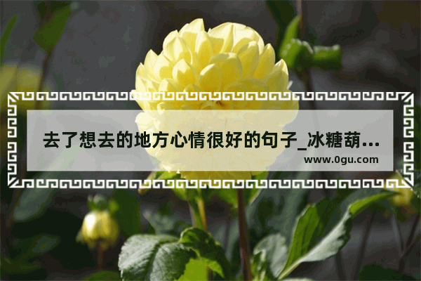 去了想去的地方心情很好的句子_冰糖葫芦的酸甜苦辣语句