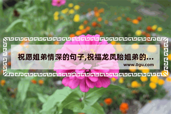 祝愿姐弟情深的句子,祝福龙凤胎姐弟的句子