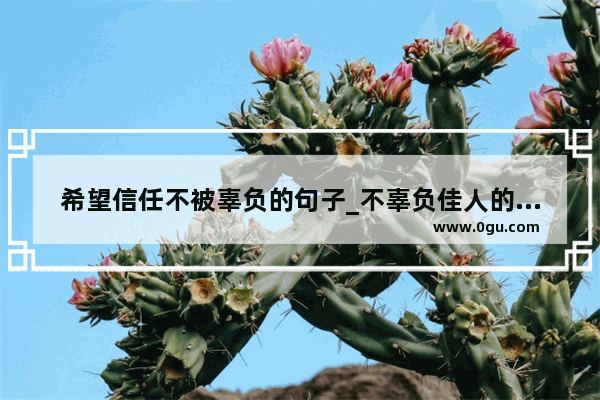希望信任不被辜负的句子_不辜负佳人的句子