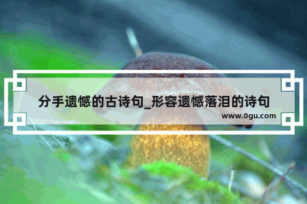 分手遗憾的古诗句_形容遗憾落泪的诗句