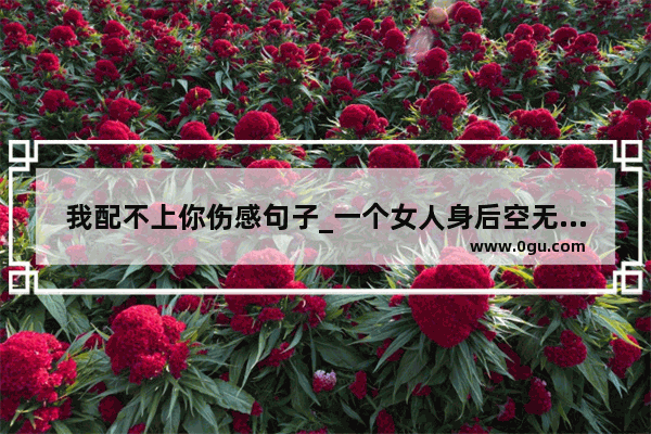 我配不上你伤感句子_一个女人身后空无一人很绝望的句子