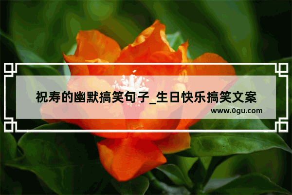 祝寿的幽默搞笑句子_生日快乐搞笑文案