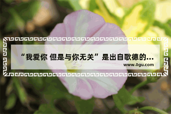 “我爱你 但是与你无关”是出自歌德的哪首诗 女人的幸福跟你无关的句子