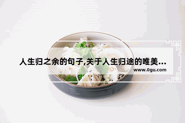 人生归之余的句子,关于人生归途的唯美句子