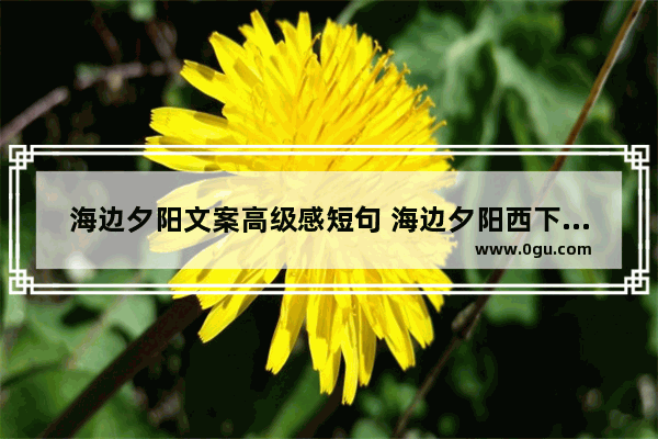 海边夕阳文案高级感短句 海边夕阳西下的唯美句子