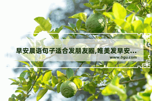 早安晨语句子适合发朋友圈,唯美发早安朋友圈的句子
