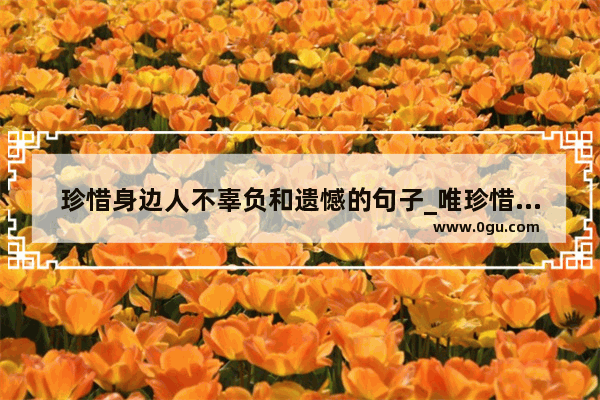 珍惜身边人不辜负和遗憾的句子_唯珍惜不可辜负的句子