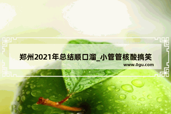 郑州2021年总结顺口溜_小管管核酸搞笑句子
