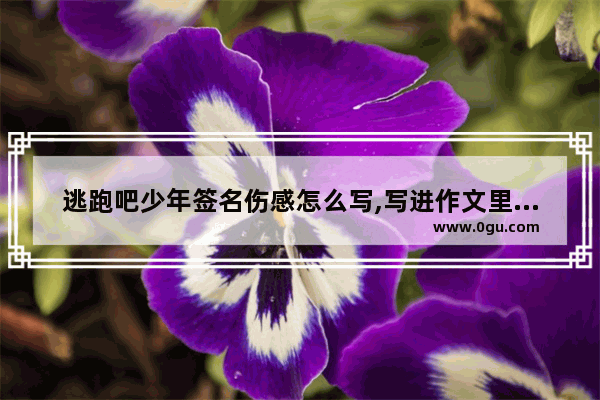 逃跑吧少年签名伤感怎么写,写进作文里爱情的句子