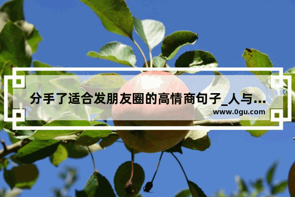 分手了适合发朋友圈的高情商句子_人与人感情变淡了的句子