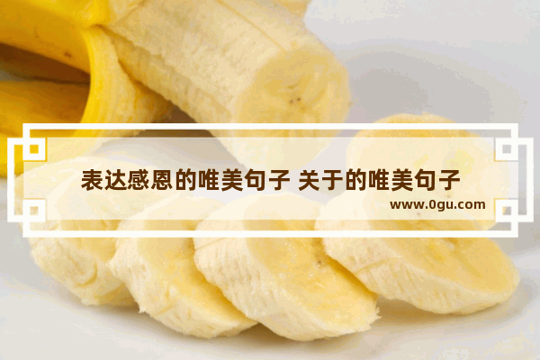 表达感恩的唯美句子 关于的唯美句子
