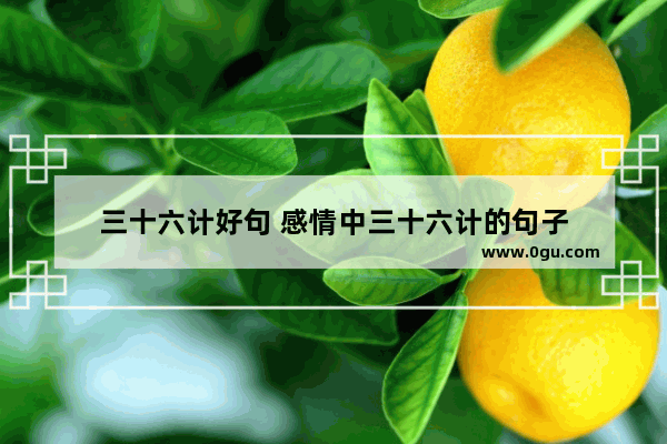 三十六计好句 感情中三十六计的句子