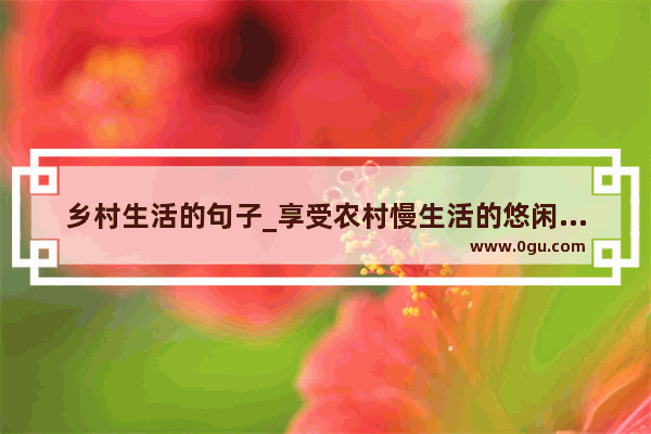 乡村生活的句子_享受农村慢生活的悠闲文案