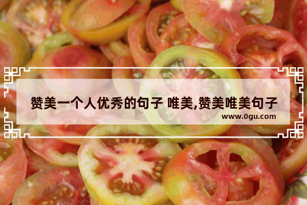 赞美一个人优秀的句子 唯美,赞美唯美句子