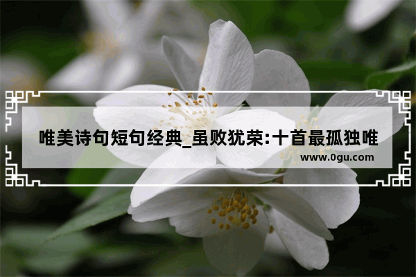 唯美诗句短句经典_虽败犹荣:十首最孤独唯美的诗词 哪一首最打动你