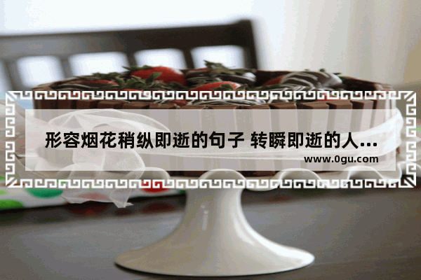 形容烟花稍纵即逝的句子 转瞬即逝的人生感情句子