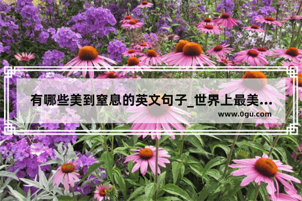 有哪些美到窒息的英文句子_世界上最美的感情句子英文