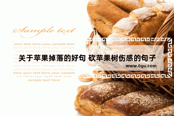 关于苹果掉落的好句 砍苹果树伤感的句子