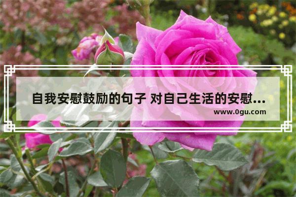 自我安慰鼓励的句子 对自己生活的安慰句子